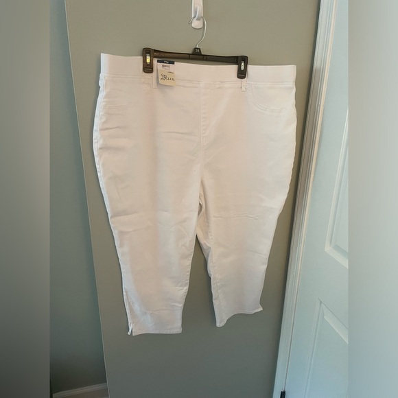 Terra & Sky Plus Size Pull-On Capri Jeggings, 23” Inseam - Picture 3 of 5